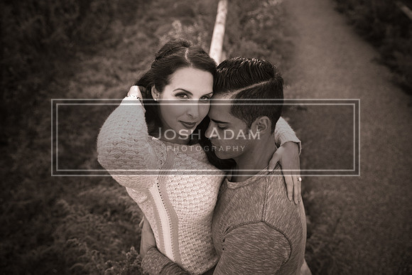 Volter and Cristina Engaged 2016-506-2
