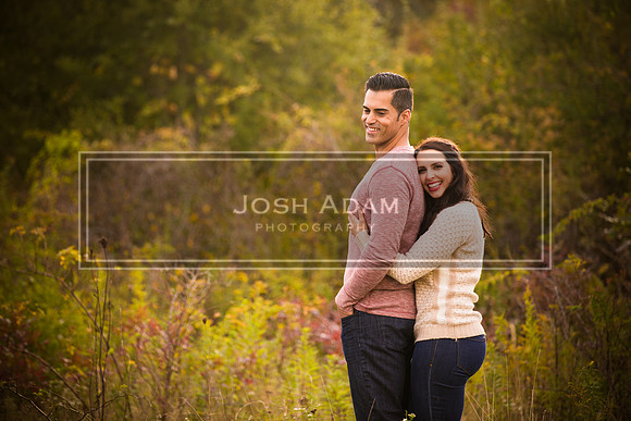 Volter and Cristina Engaged 2016-358