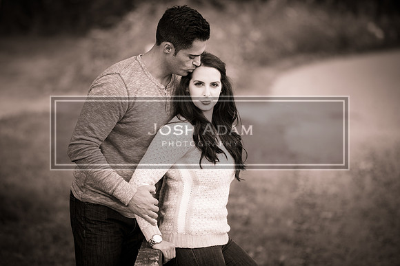 Volter and Cristina Engaged 2016-338-2