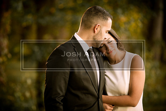 Brian and Kelly Engaged 2016-59