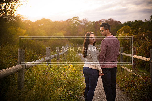 Volter and Cristina Engaged 2016-457