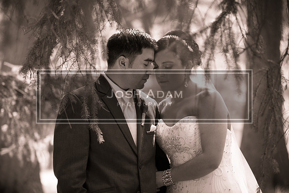 Adelia and George Wedded 2016-1606-2