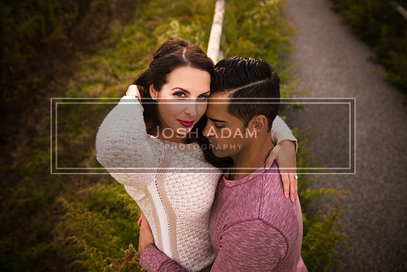 Volter and Cristina Engaged 2016-506