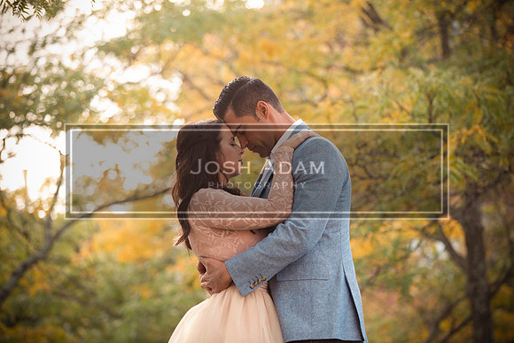 Volter and Cristina Engaged 2016-16-Edit-Edit