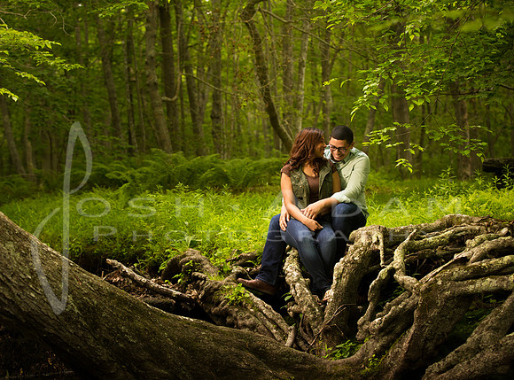 Joanna and Joviel Engaged-150