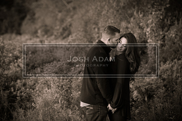Brian and Kelly Engaged 2016-507-2