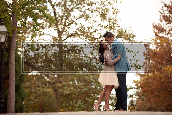 Volter and Cristina Engaged 2016-216-Edit-Edit