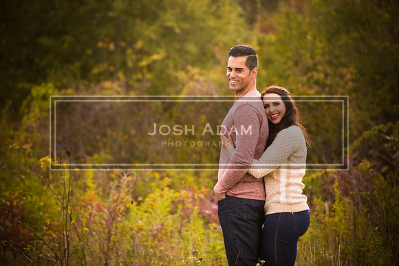 Volter and Cristina Engaged 2016-359