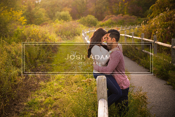 Volter and Cristina Engaged 2016-488