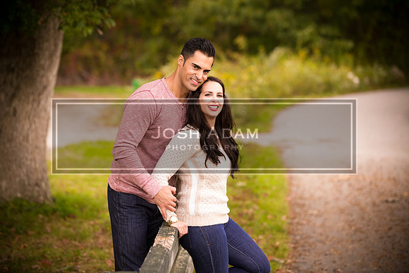 Volter and Cristina Engaged 2016-333