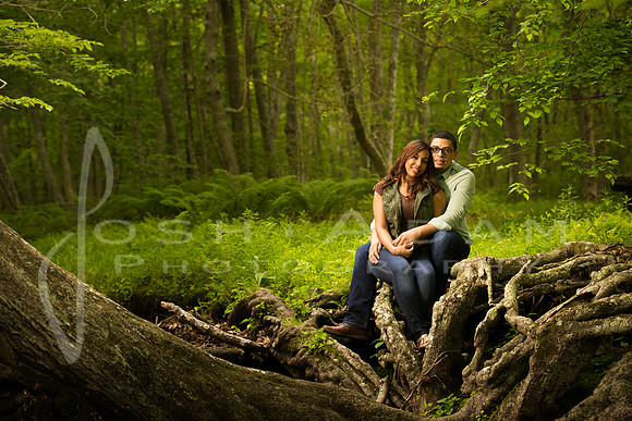 Joanna and Joviel Engaged-146