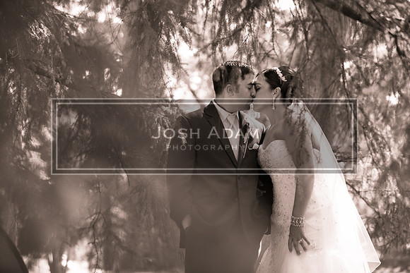 Adelia and George Wedded 2016-1614-2