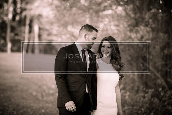 Brian and Kelly Engaged 2016-87-2