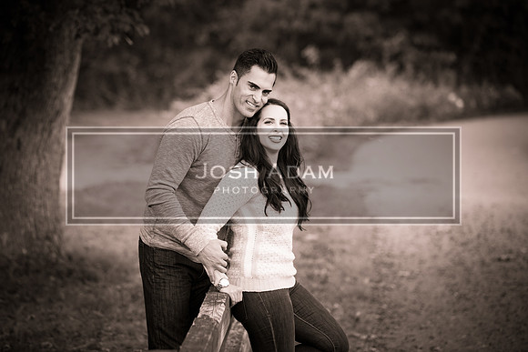Volter and Cristina Engaged 2016-333-2