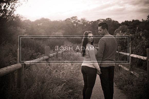 Volter and Cristina Engaged 2016-457-2
