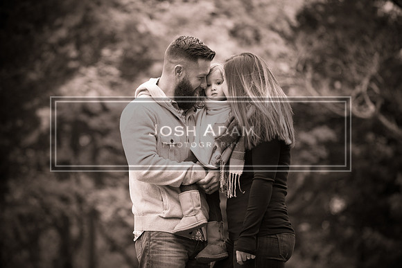 Rocha 2016-12-2