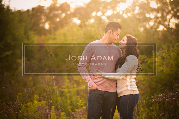 Volter and Cristina Engaged 2016-367