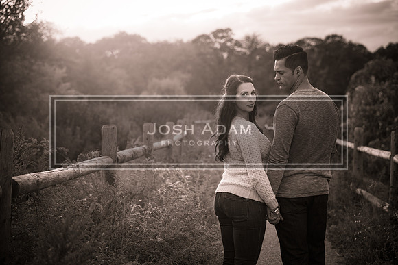 Volter and Cristina Engaged 2016-455-2