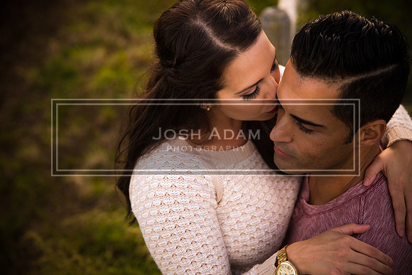 Volter and Cristina Engaged 2016-513