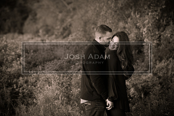 Brian and Kelly Engaged 2016-508-2