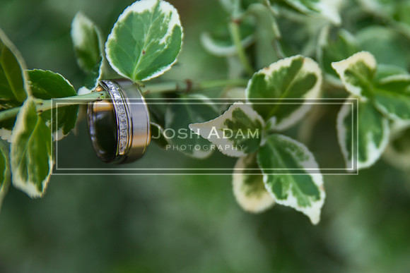 Adelia and George Wedded 2016-481