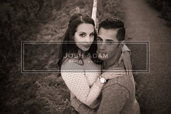 Volter and Cristina Engaged 2016-496-2