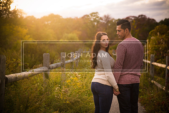Volter and Cristina Engaged 2016-455