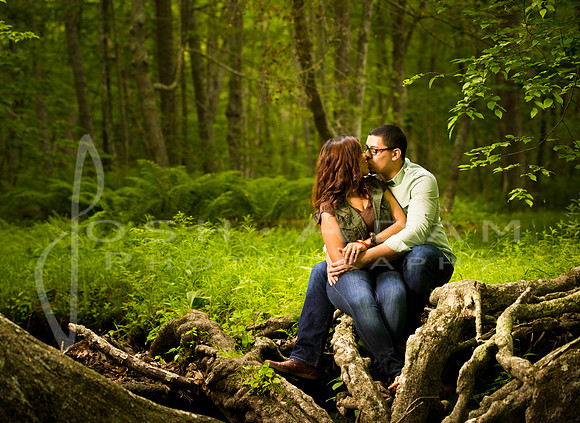 Joanna and Joviel Engaged-157